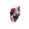 Anelli Lunati | Rainbow Parrot, E Un Anello Che Si Puo Definire Super Glamour